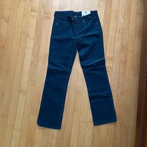 NWT Patagonia Women's Corduroy Pants -Short Size 28 (6)